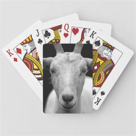 Oyun drill goat cards qaydaları